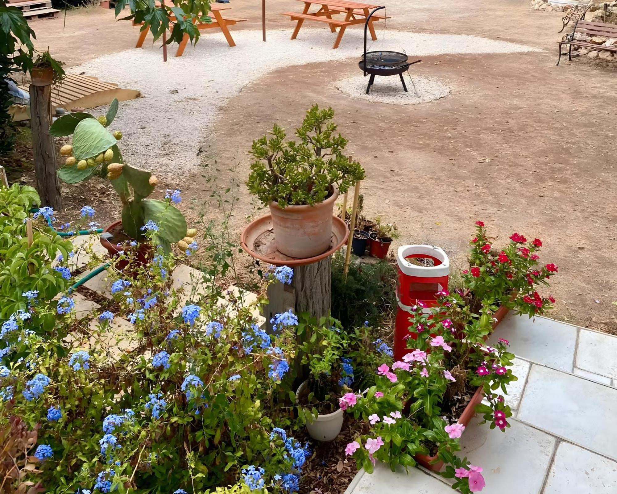 Chill Garden Experience B&B San Pietro in Bevagna Exterior photo